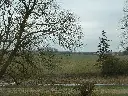 P1050757.webp